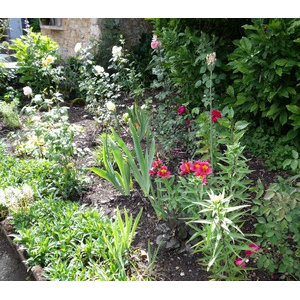 Journée des Jardins - Le jardin des époux Norman.