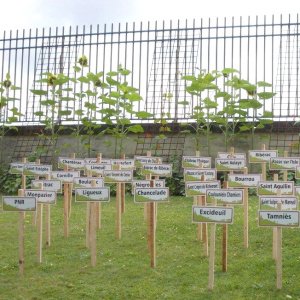 Les Communes signataires